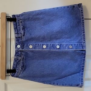 Paige - Esma High Rise Skirt in Aviana 26